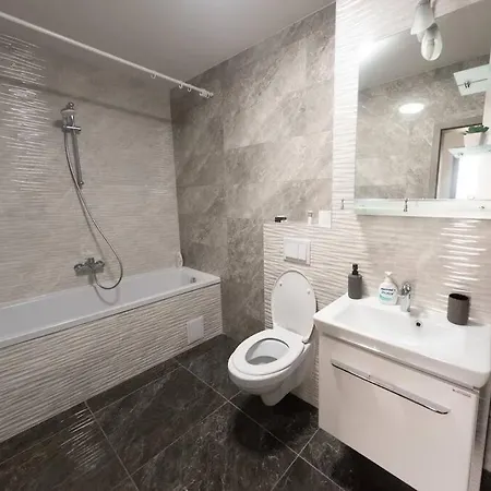Urban Confort. Modern Si Luminos Rebreanu Apartment Timisoara